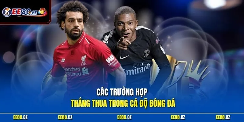 Các trường hợp thắng thua trong cá độ bóng đá