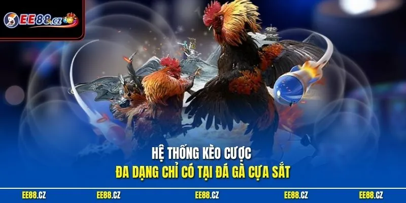 Hệ thống kèo cược đa dạng chỉ có tại đá gà cựa sắt