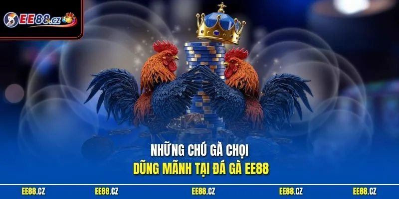 Những chú gà chọi dũng mãnh tại đá gà EE88