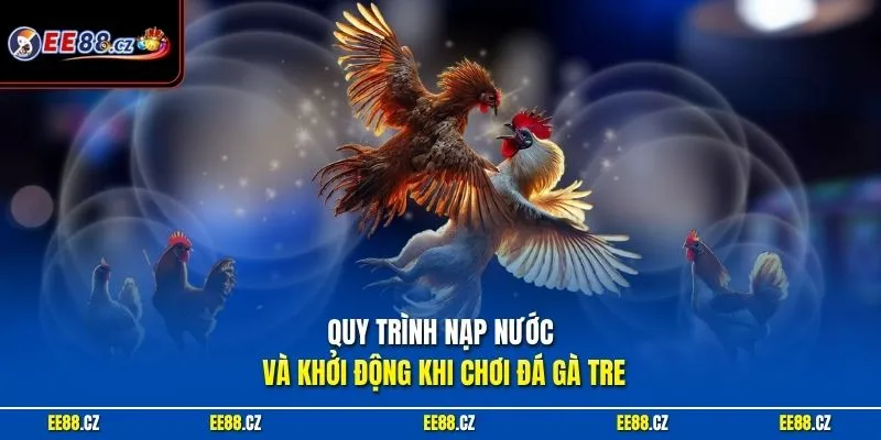 Quy trình nạp nước và khởi động khi chơi đá gà tre